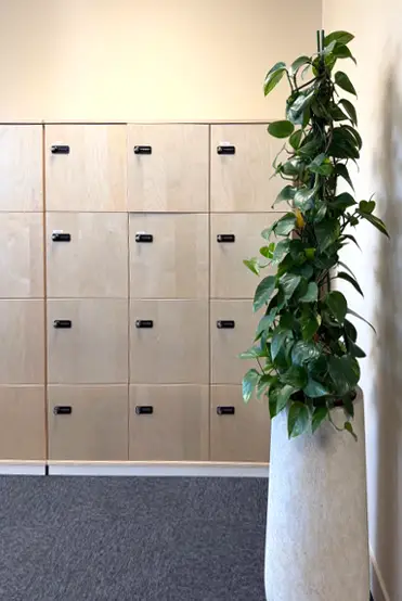 casiers bureaux